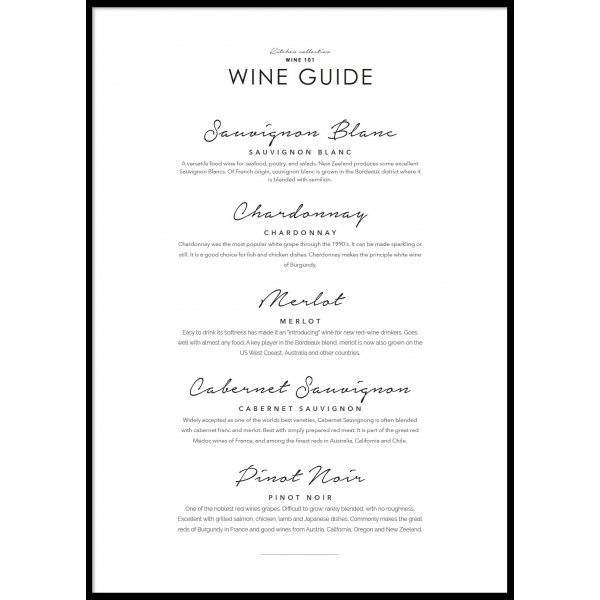 WINE GUIDE - Poster 50x70 cm