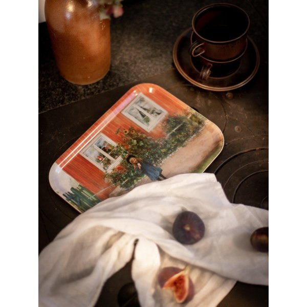 Plateau Brita 20 x 27 cm - Vert