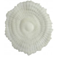 Korall väggdekoration D 48 cm - Ljus Korall väggdekoration D 48 cm - Ljus