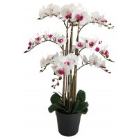 Konstväxt - Orkidé 9 stänglad H90 cm - Vit/Rosa Konstväxt - Orkidé 9 stänglad H90 cm - Vit/Rosa