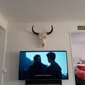 Helt enligt förväntan eller över förväntan! Väggdekoration ståtlig texas longhorn