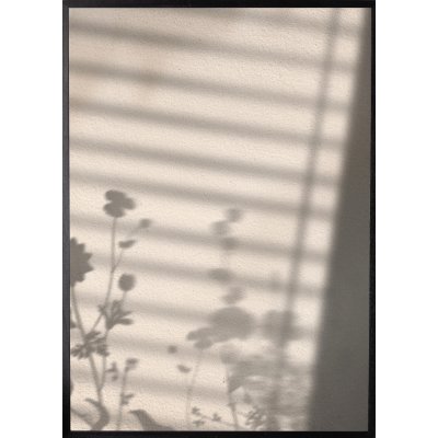 Poster - Flower shadow