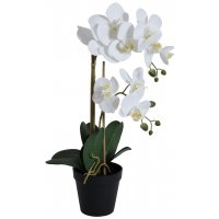 Konstväxt - Orkidé 2 stänglad H54 cm - Vit Konstväxt - Orkidé 2 stänglad H54 cm - Vit