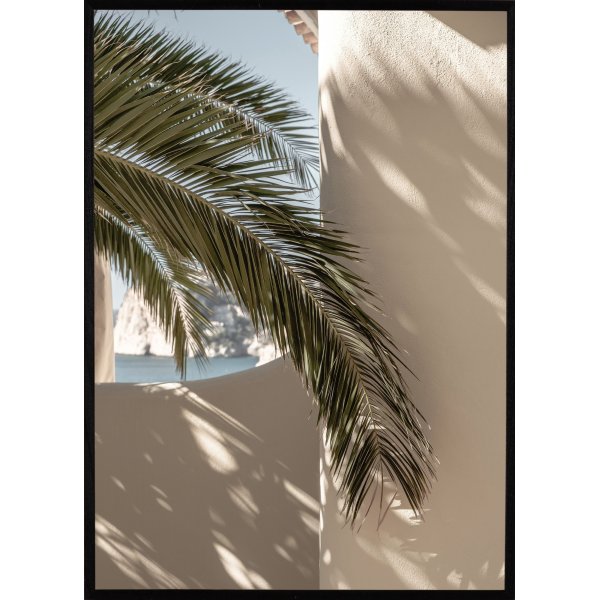 Poster - Palmleaf Poster - Palmleaf