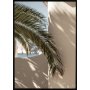 Poster - Palmleaf Poster - Palmleaf