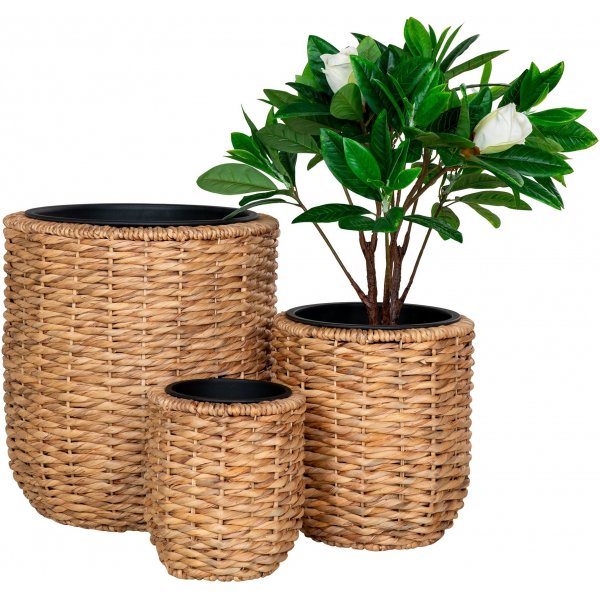 Pots Hanoï - Jacinthe d\\\'eau Pots Hanoï - Jacinthe d\\\'eau