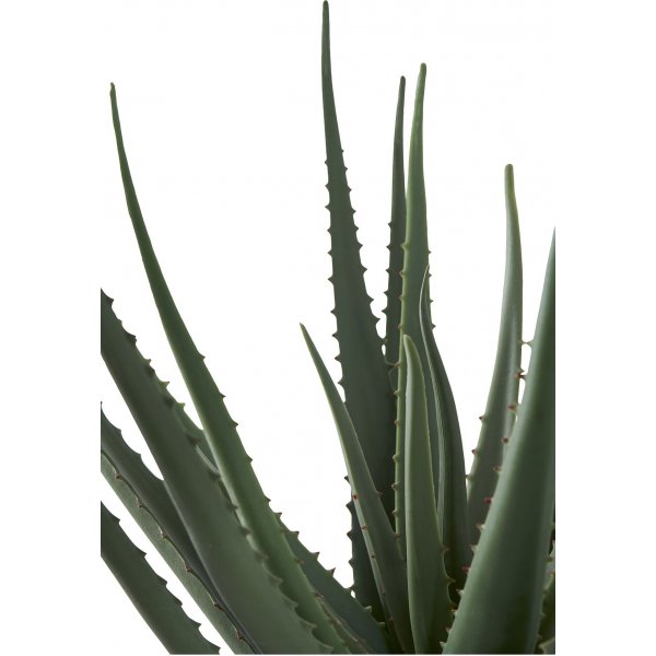 Aloe Vera konstvxt - H:51 cm - Grn