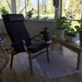 Kundbild Lammet fåtölj i fårskinn scandinavian dark grey - Brunbetsad ek: Härlig fårskinnfåtölj, nätt...