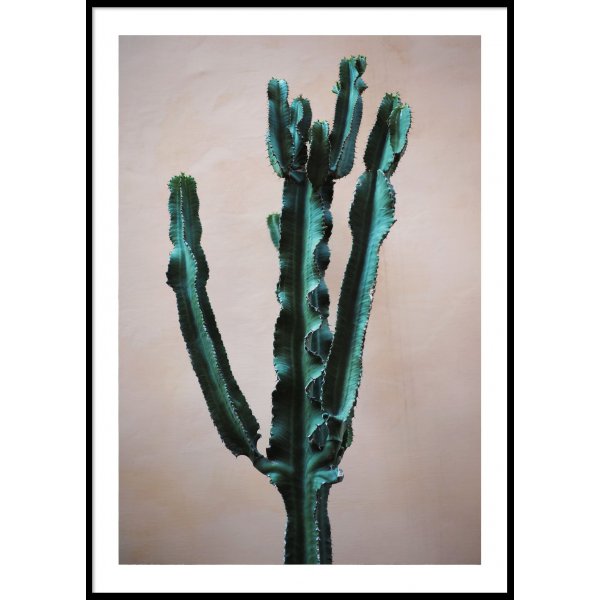 CACTUS ITALY - Poster 50x70 cm