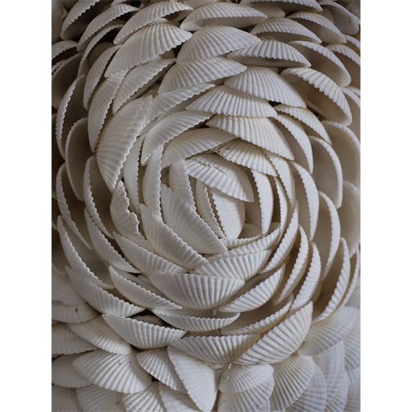 Cape Cod CL010010 Lampfot med snäckor - Olsson & Jensen Cape Cod CL010010 Lampfot med snäckor - Olsson & Jensen