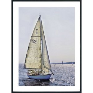 Posterworld - Motiv Sailing - 50x70 cm