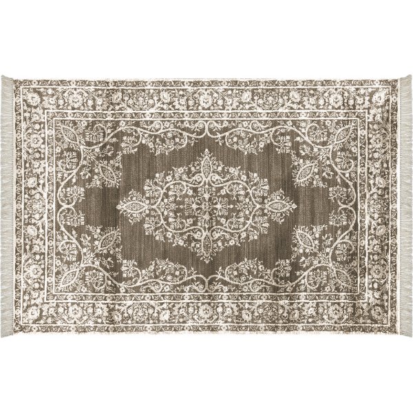 Cassus matta Cassus matta