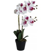 Konstväxt - Orkidé 2 stänglad H54 cm - Vit/Rosa Konstväxt - Orkidé 2 stänglad H54 cm - Vit/Rosa