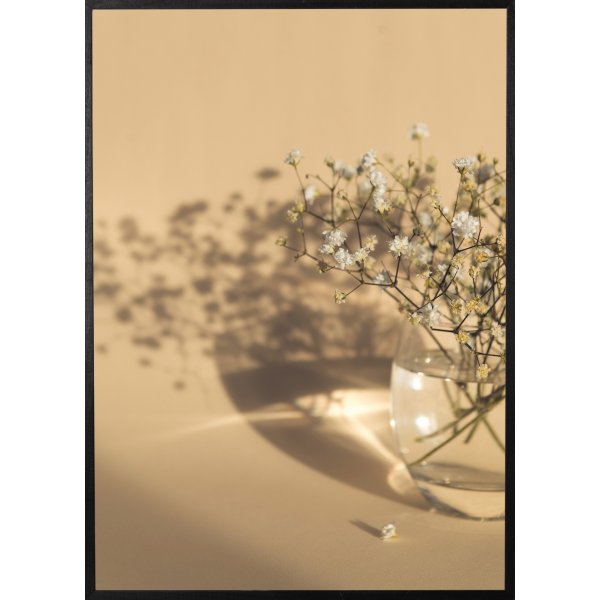 Affiche - Fleurs blanches