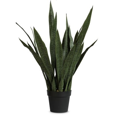 Konstväxt - Verde Sanseviera planta 90 cm