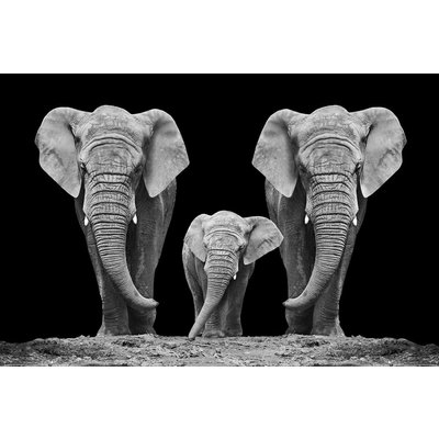 Glastavla Elephant family - 120x80 cm