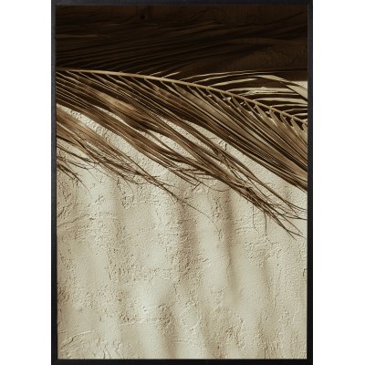 Poster - Desert