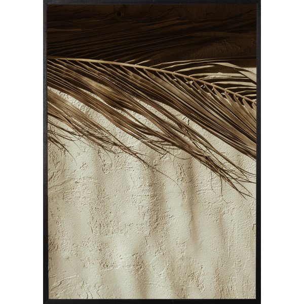 Poster - Desert