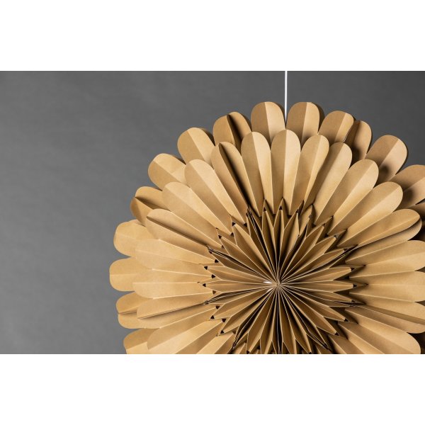 Jrvsn adventsstjrna - Brun/Vit