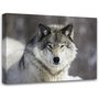 Canvastavla Wolf