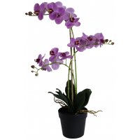 Konstväxt - Orkidé 3 stänglad H64 cm - Rosa Konstväxt - Orkidé 3 stänglad H64 cm - Rosa