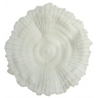 Korall väggdekoration D 56 cm - Ljus Korall väggdekoration D 56 cm - Ljus