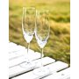 Sontell 6 st champagneglas i kristall
