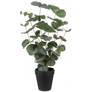 Eucalyptus kunstplant