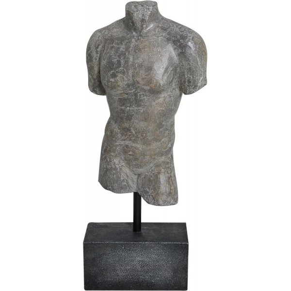 Torso man - Gr